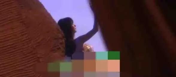 娱乐圈吃瓜爆料的小说小香猪推荐,小香猪带你揭秘幕后真相